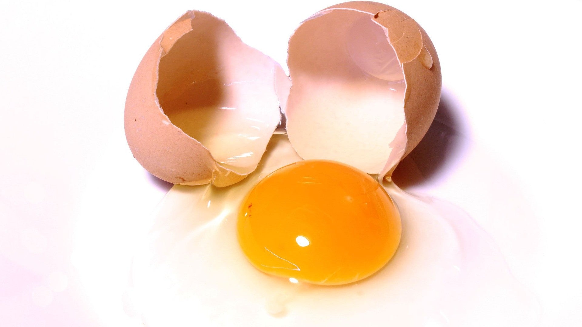 3 Reasons Why Egg Protein Supplements May Be Better Than Whey