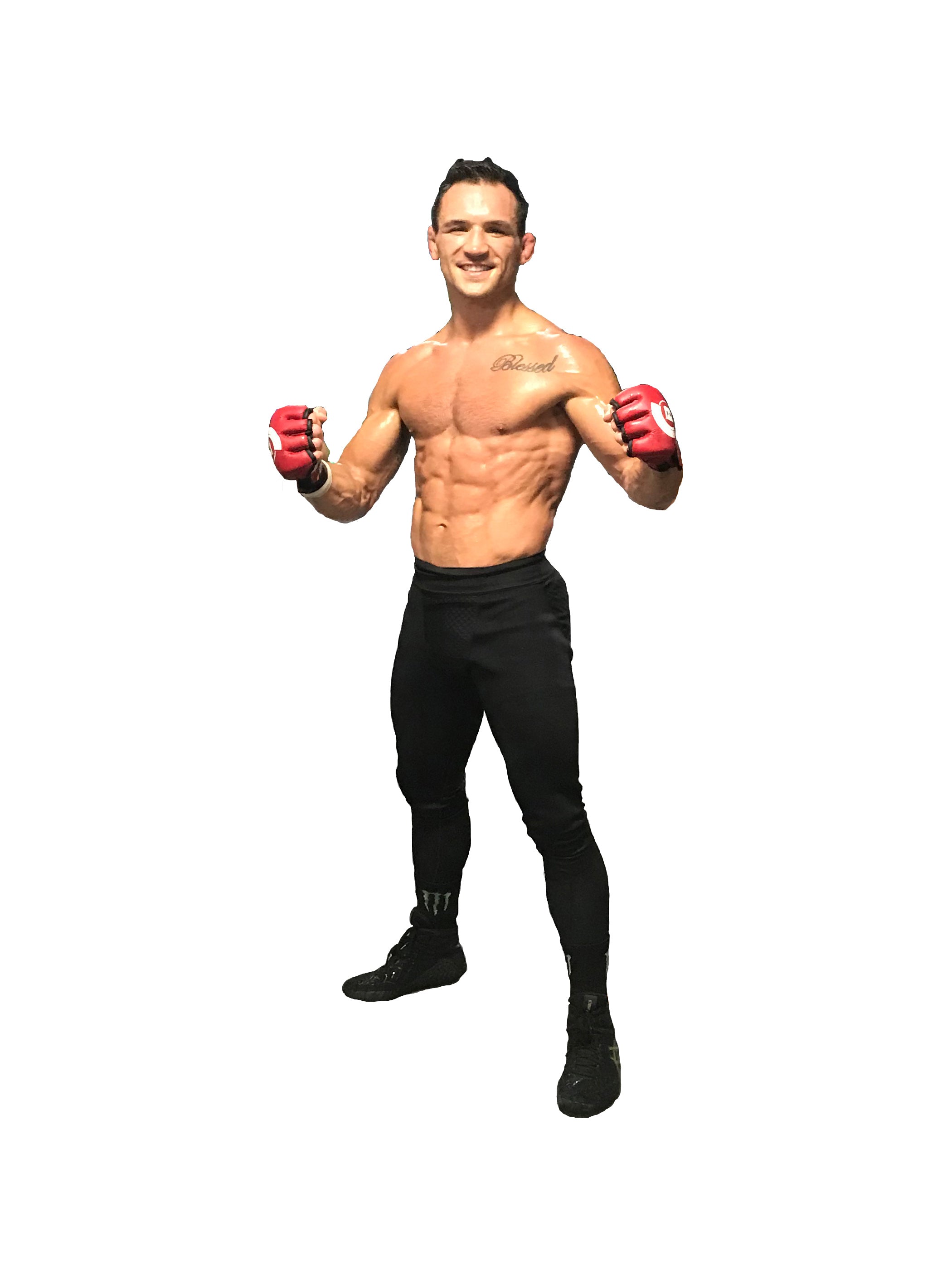 Men's Sauna Tights